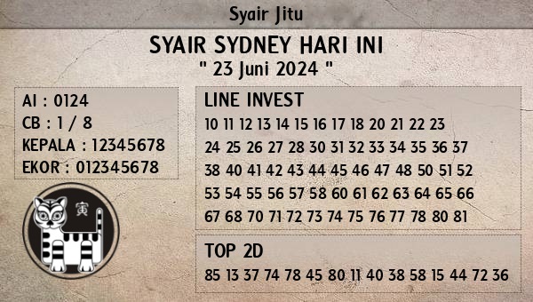 SYAIR SDY VIP
